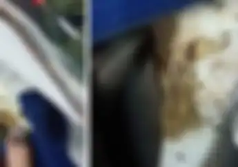 Waspada! Bagian-bagian Helm Ini Paling Sering Kemasukan Kotoran Sampai Binatang Kecil