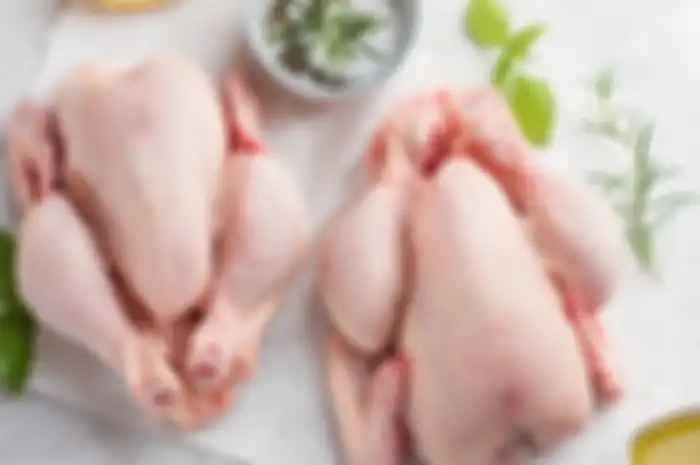 Ilustrasi bagian ayam yang paling sehat