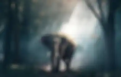 Efek Gajah Kalo Punah bagi Kehidupan, Peneliti: Karbon di Atmosfer Kita Akan Tinggi 