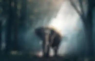 Efek Gajah Kalo Punah bagi Kehidupan, Peneliti: Karbon di Atmosfer Kita Akan Tinggi 