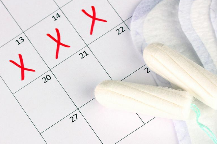 Siklus Menstruasi