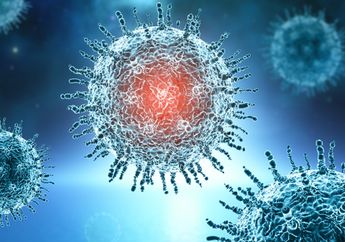 Seret Rumah Sakit di Purwokerto ke Meja Hijau hingga Gugat Rp 5 Miliar, Seorang Warga Tak Terima Suaminya Dinyatakan Meninggal Karena Covid-19