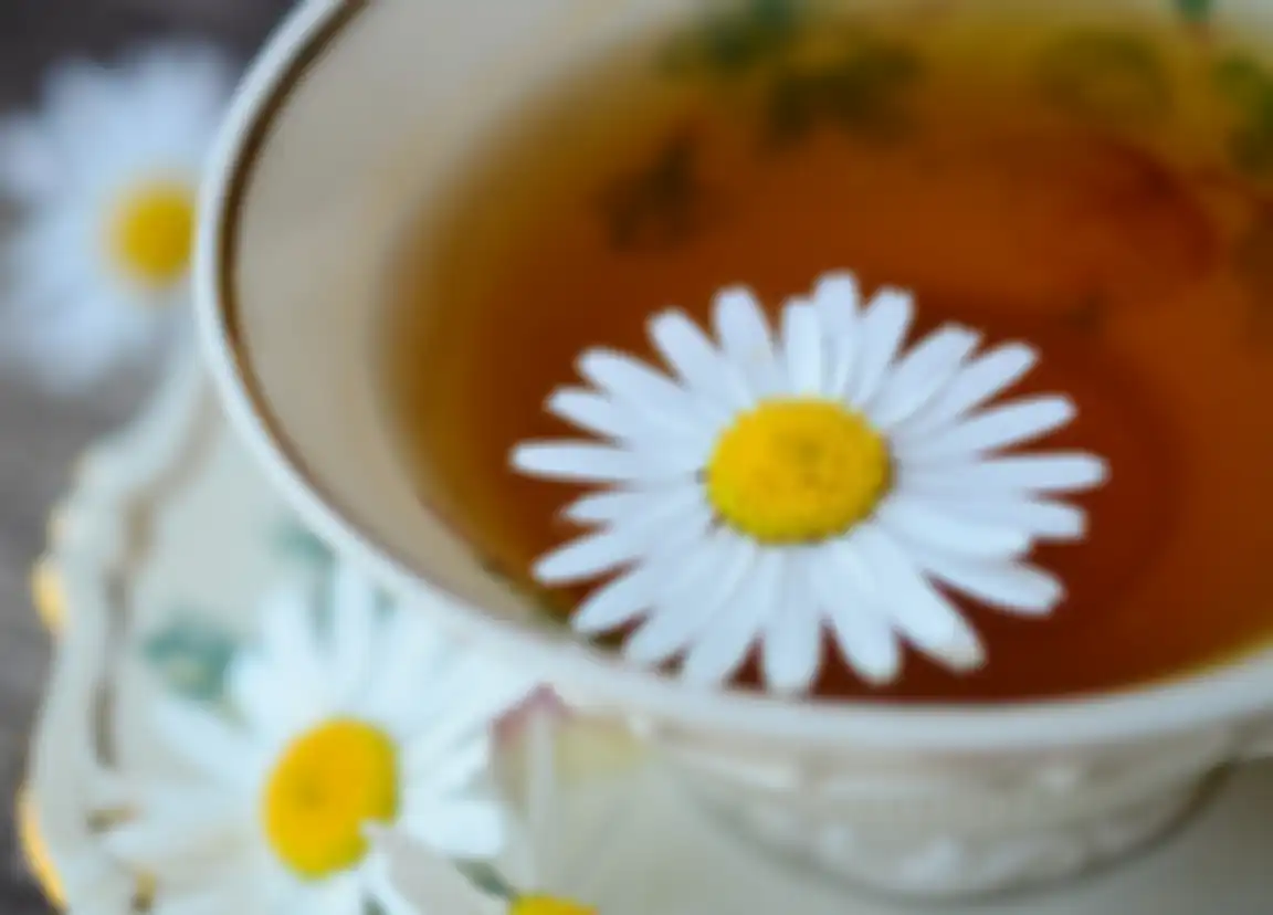Teh chamomile