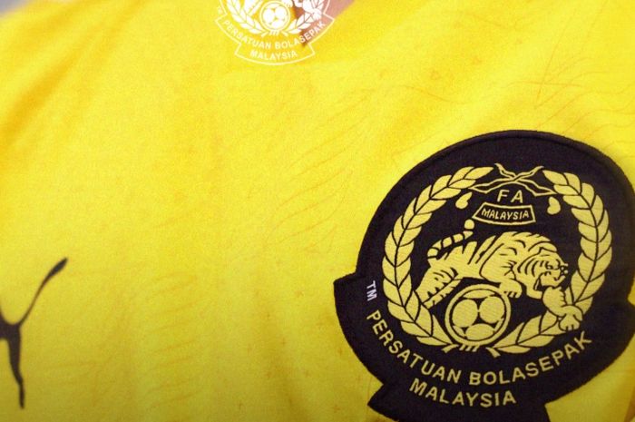 Sejumlah pemain keturunan baru akan memperkuat Timnas Malaysia dalam waktu dekat.