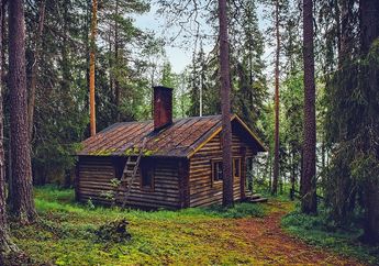 6 Arti Mimpi Tentang Rumah Pohon, Awas Ada Perubahan yang Tidak Diinginkan Terjadi di Hidup Anda