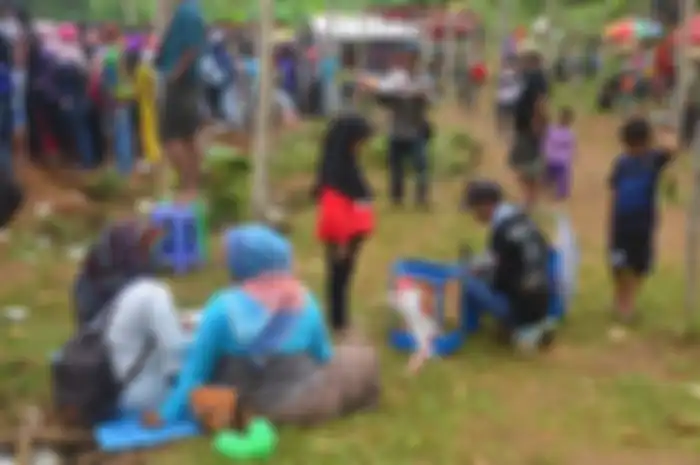 Penonton sedang piknik