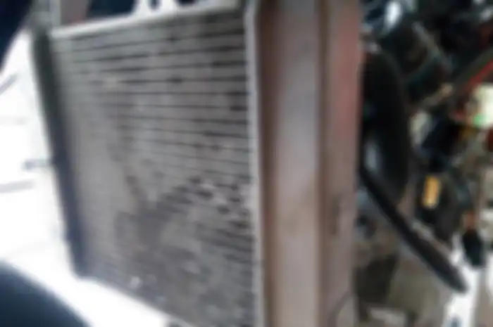 radiator motor
