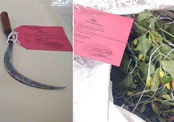 Terduga Pencuri Cabai Meregang Nyawa di Tangan Remaja Secara Sadis, Dua Tersangka Terancam Hukuman Setimpal, Kisahnya Sungguh Miris!