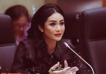 Unjuk Gigi Sebagai Anggota DPR RI, Krisdayanti Panen Pujian Setelah Lakukan Hal Ini