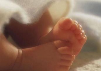 Warga Bojonegoro Digegerkan dengan Temuan Bayi Perempuan dalam Kardus, Terbungkus Kain Hitam hingga Tergeletak di Tepi Jalan