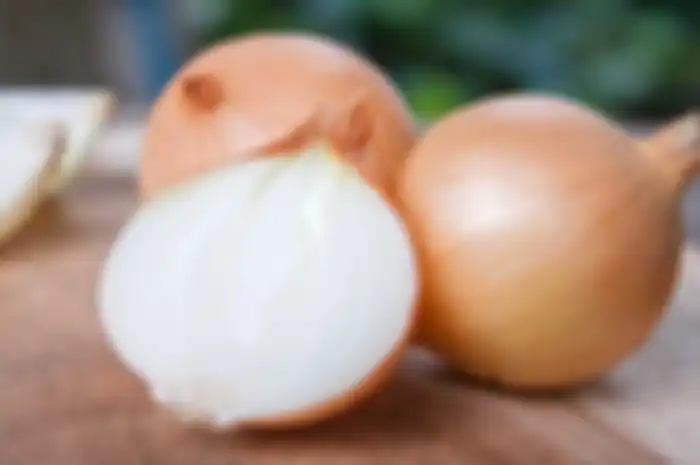 Bawang bombay bisa atasi infeksi telinga