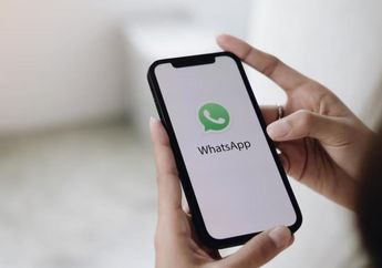 Ingin Memasukan Musik di Status WhatsApp Agar Menarik? 3 Tips Ini Bisa Dipakai Pengguna, Dijamin Keren!
