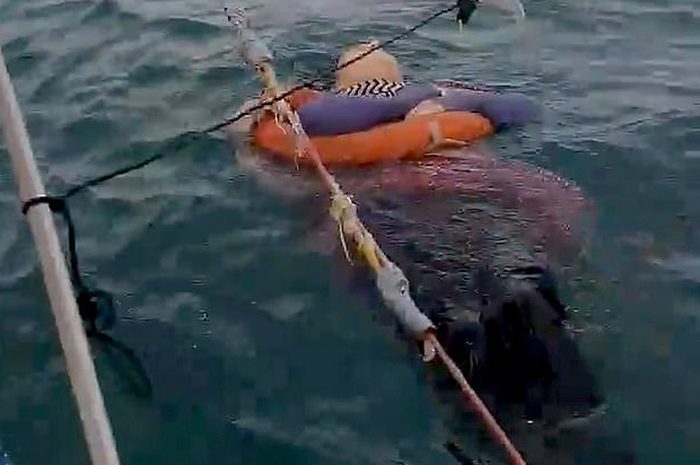 Kemudian, Angelica Gaitan ditemukan oleh nelayan Kolombia di kota Puerto provinsi Atlantico, Kolombia.