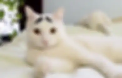 Alami Demam Tinggi dan Jari Manisnya Terancam Diamputasi, Balita di Sragen yang Digigit Kutu Kucing Akhirnya Meninggal. Begini Cerita Ibunya