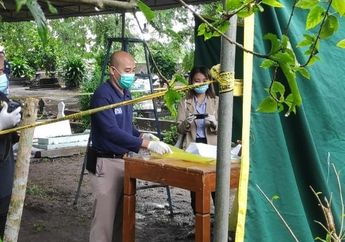 Sedang Bersih-Bersih, Warga di Bantul&nbsp;Dikagetkan&nbsp;dengan Temuan&nbsp;Makam Baru,&nbsp;Ternyata Begini Fakta di Baliknya
