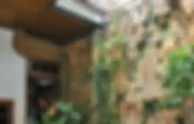 Cara Sederhana, Cepat, dan Murah Merawat dan Mempercantik Taman