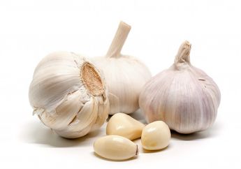 Hati-Hati! Sering Digunakan Sebagai Bahan Masakan, Ternyata Bawang Putih Bisa Picu 5 Hal Fatal Ini di Tubuh, Perhatikan Mulai Saat Ini