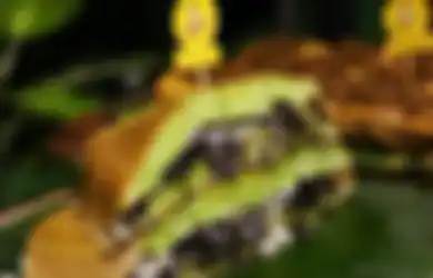 Wapada Jika Tak Mau Mati Mulai Sekarang Jangan Lagi Makan Martabak Manis di Malam Hari, Risiko Bagi Kesehatan Tak Main-main