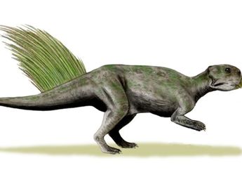 Inilah Teknik yang Digunakan Paleontolog untuk Menentukan Warna Dinosaurus