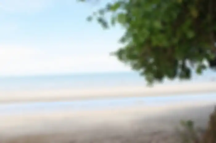 Ilustrasi pantai 
