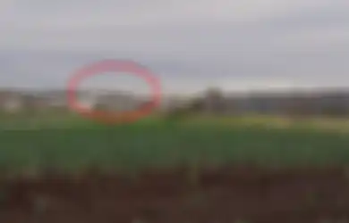 Ogah Terima Sogokan Rp 25 Miliar dari Pemerintah, Keluarga Petani Ini Pilih Tinggal di Dalam Bandara Lebih dari 20 Tahun