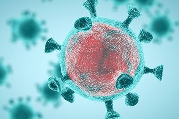 (Ilustrasi) Virus corona