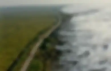 BPBD Belum Sanggup Mencari, 3 TKI dari Malaysia Hilang Usai Tembus Belantara Kalimantan untuk Pulang Kampung dengan Jalan Kaki, Awal Bulan Ramadhan Terakhir Bisa Dihubungi