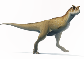 Bagaimana Dinosaurus Tanpa Lengan Ini Menangkap Mangsa yang Ukurannya Besar?