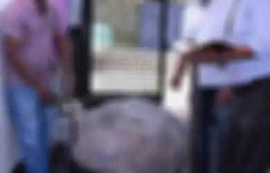 Tak Sengaja Temukan Harta Karun Bernilai Fantastis Usai Menggali Sumur, Pria Ini Lakukan Hal Tak Disangka-sangka, Fakta di Baliknya Bikin Melongo