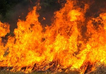 Berhari-hari Diam dan Tak Saling Tegur Sapa, Seorang Suami Nekat Membakar Rumah Saat Sang Istri Tengah Tertidur Pulas di Dalam