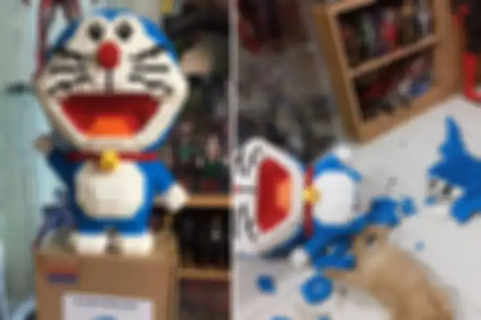 Udah Disusun Selama Seminggu, Kucing Ini Malah Hancurin Mainan Doraemon Pesanan Orang