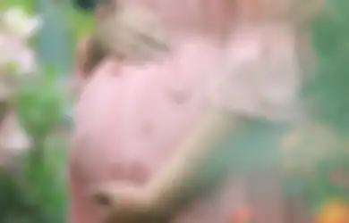 Ramadhan 2023 Sebentar Lagi Tiba, Berikut Ini Manfaat Puasa untuk Ibu Hamil