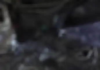 Waduh, Jeriken Pertalite Tumpah, 5 Motor dan Rumah Langsung jadi Abu