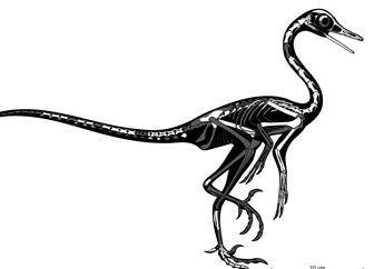 Apakah Ada Dinosaurus yang Bisa Berenang?