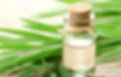 Satu Indonesia Belum Tahu, Minyak Kayu Putih Punya Manfaat Tersembunyi yang Salah Satunya Bisa Digunakan untuk Membersihkan Perabot Rumah Berikut Ini
