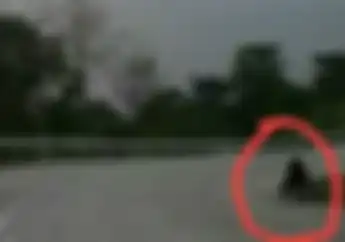 Heboh.. Video Sosok Aneh di Jalur Geopark, Ciletuh Jadi Perbincangan Warganet, Penampakan?