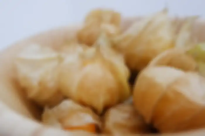 Buah ciplukan punya banyak manfaat dan harga yang tinggi