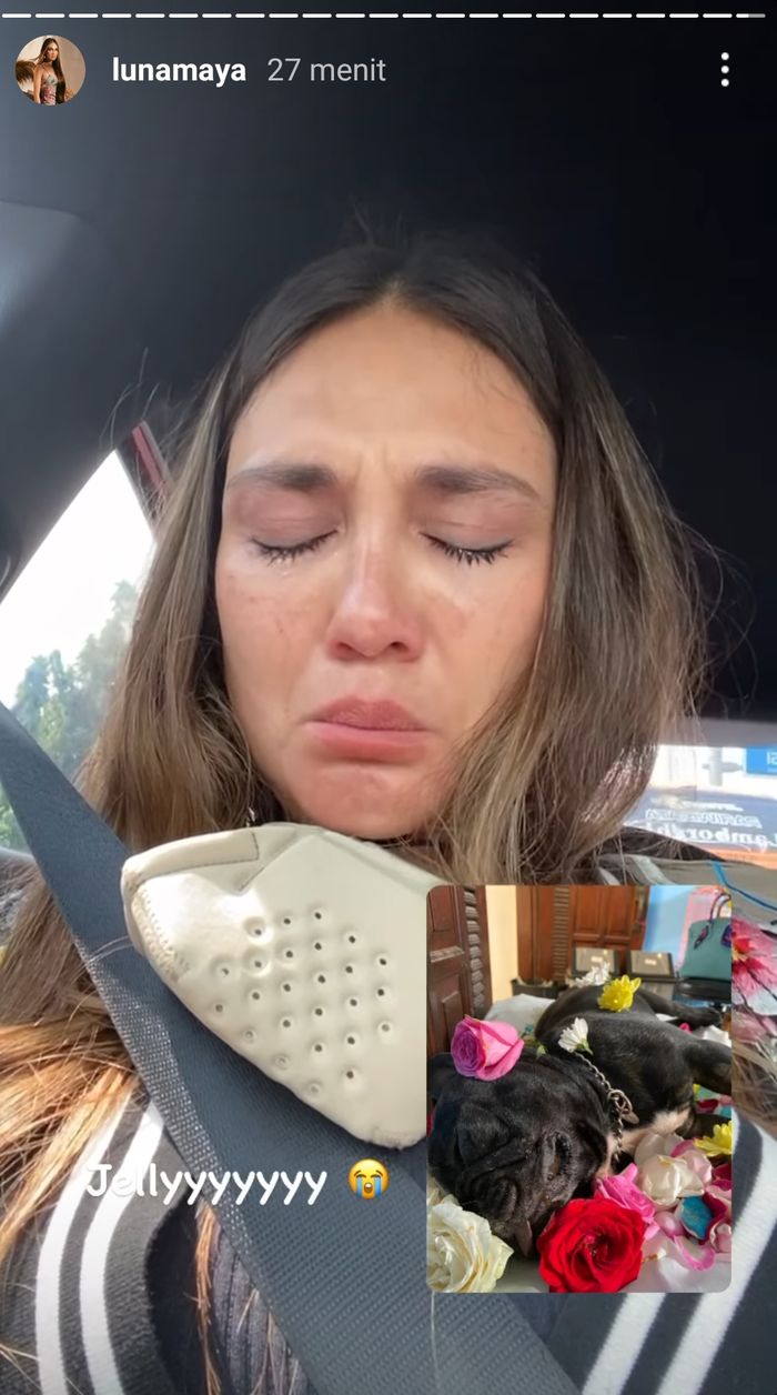 Luna Maya tak kuasa menahan kesedihan saat anjing kesayangannya mati.