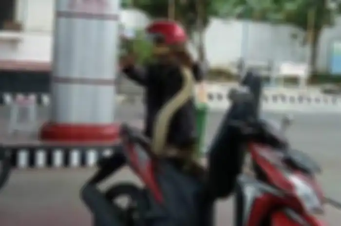 Ular sanca kembang muncul dari bawah jok motor.