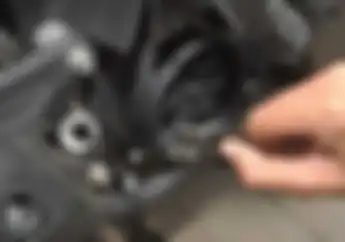 Bingung Mau Ganti Oli siang Atau Malam? Begini Kata Ahlinya Bro..