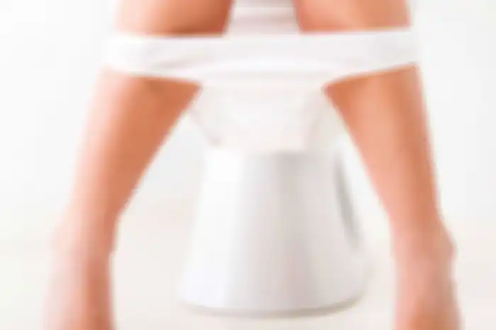 Ilustrasi Vagina
