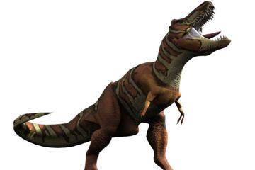 Tak Seperti yang Digambarkan dalam Film, Beginilah Sebenarnya Bentuk Lidah T-rex