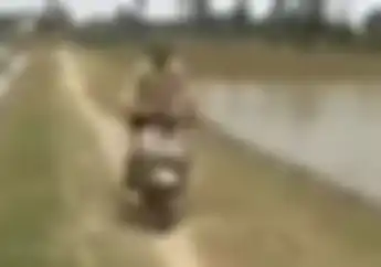 Pesawat Jatuh Hantam Pengendara Vespa, Tapi Kok Ada Yang Aneh..
