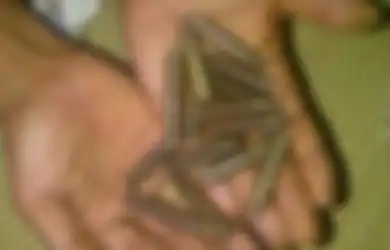 Peluru Rekoset Hasil Latihan Tembak Masuk Pemukiman Warga, Kadispen TNI AU Meminta Maaf: Kita Akan Lebih Berhati-hati