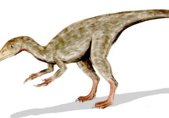 Bukan T.rex, Terungkap Siapa Sebenarnya Dinosaurus Tercepat