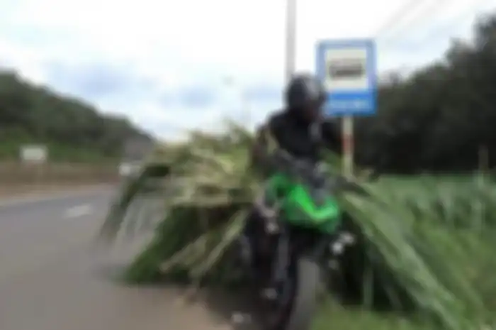 Kawasaki Z1000 dipakai buat angkut rumput.