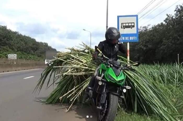 Kawasaki Z1000 dipakai buat angkut rumput.