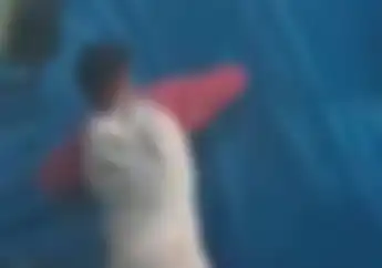 Enggak Ada yang Berani Bertindak, Video Bajing Loncat Leluasa Jarah Barang Saat Jalanan Macet
