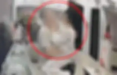 Mau Jadi Selingkuhan, Polisi Wanita Ini Ditiduri 9 Pejabat Selama 5 Tahun, Ending Nasibnya Mencengangkan