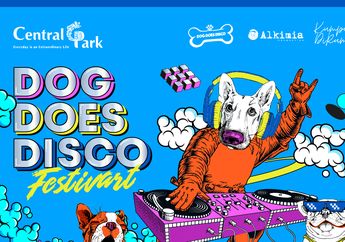 Dog Does Disco Festivart: When Dog Festival and Art Become One